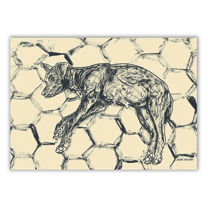 Cães Callejeros - 09 - André Oliveira - Quadro ou Print Fine Art