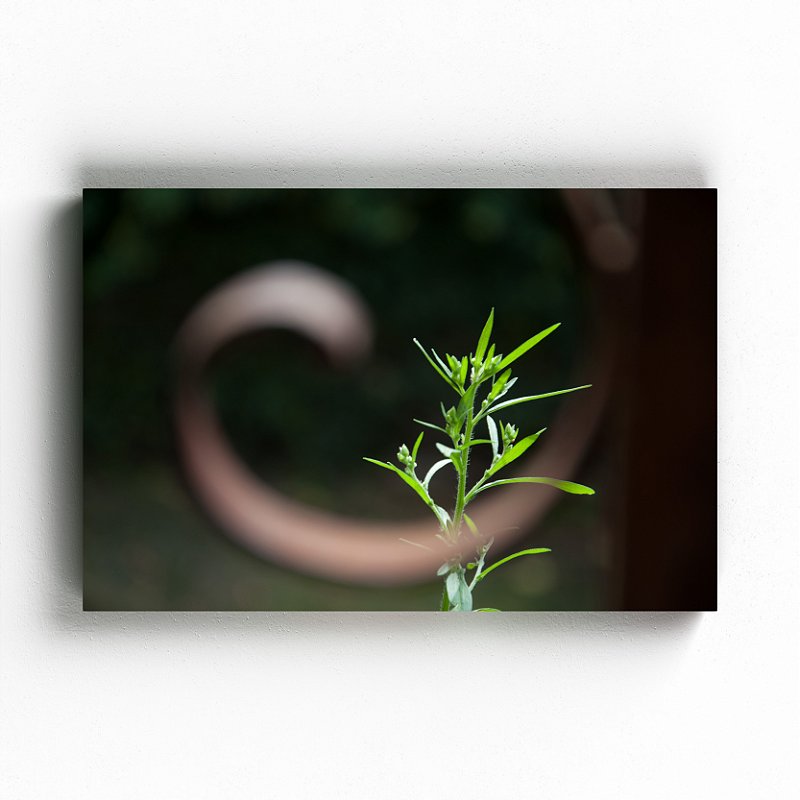 Vista - Exposição Domesticidade - Gustavo Souto - Quadro ou Print Fine Art