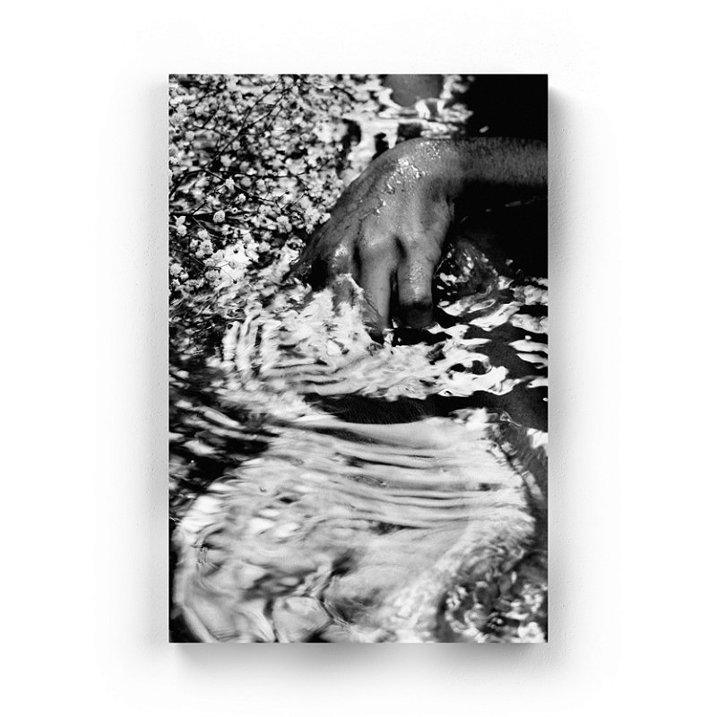 Lost Everything - Exposição Sombras - Silvia Maria - Print Fine Art ou Quadro