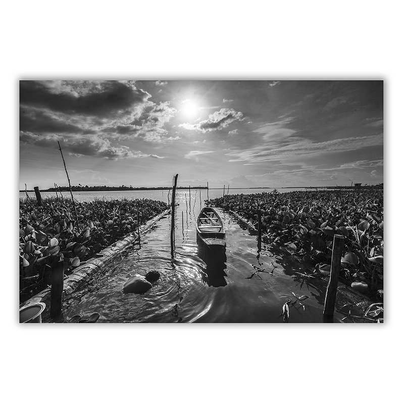 Um Pequizeiro Sufocado Não Dá Frutos 03 - Neto Macedo - Print Fine Art ou Quadro