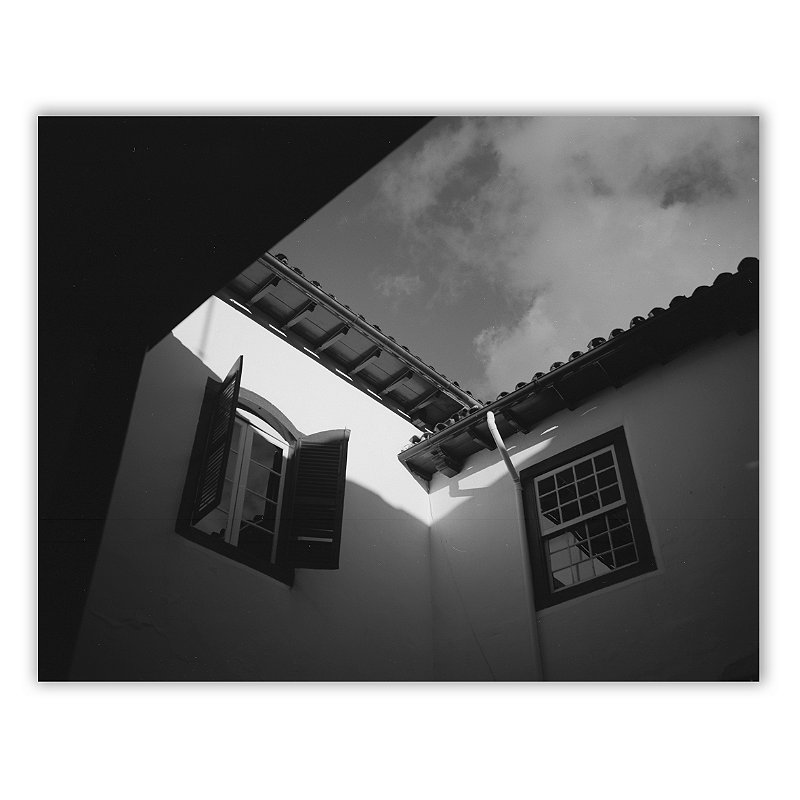 Um Pequizeiro Sufocado Não Dá Frutos 07 - Neto Macedo - Print Fine Art ou Quadro