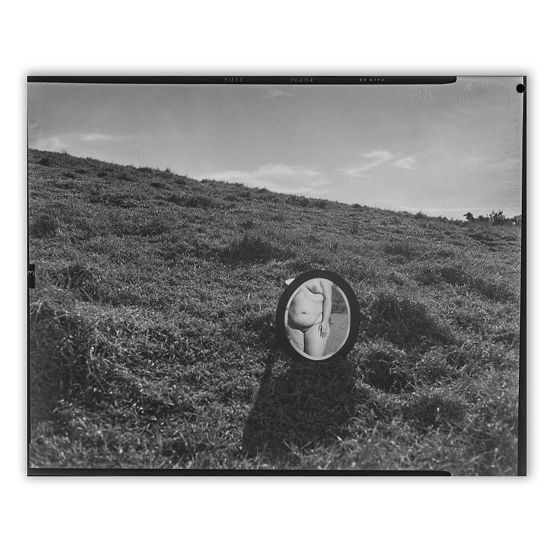 Um Pequizeiro Sufocado Não Dá Frutos 13 - Neto Macedo - Print Fine Art ou Quadro