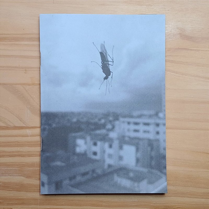 Luz - Gustavo Souto - Zine Fotográfico