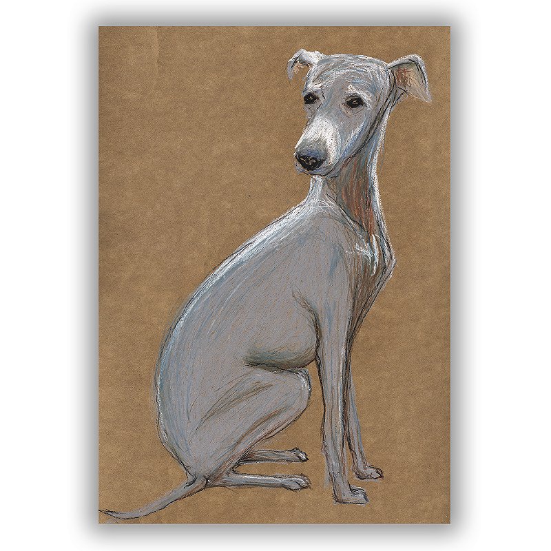 André Oliveira - Cachorro