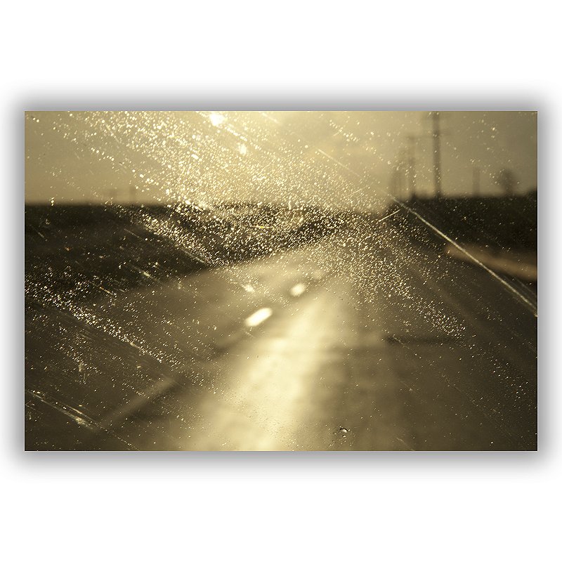 Sertãozinho - Gustavo de Paula