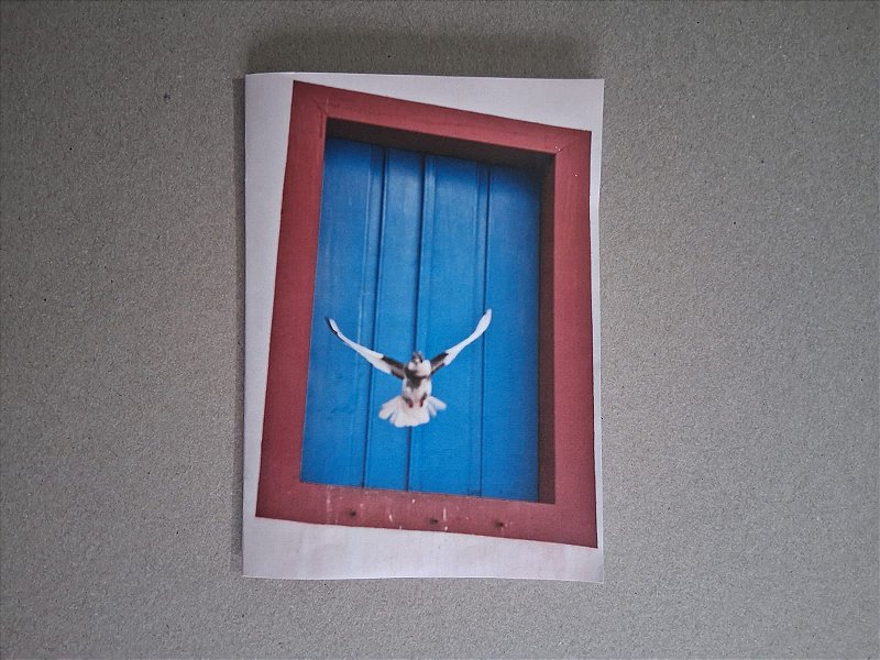 Vento - Gustavo de Paula - Zine