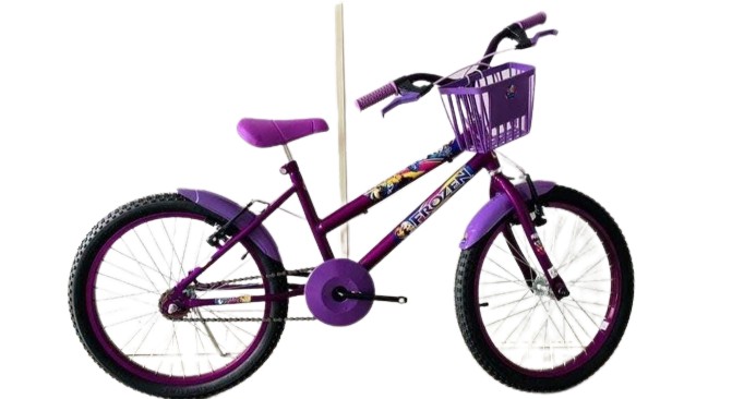 bicicleta infantil da frozen aro 20 - IGcyclo Bike / Loja Virtual de  Bicicleta | Peças | Acessórios | BiCicleTa Adulto | BiCicleTa Infantil |  Montagens de Bicicletas