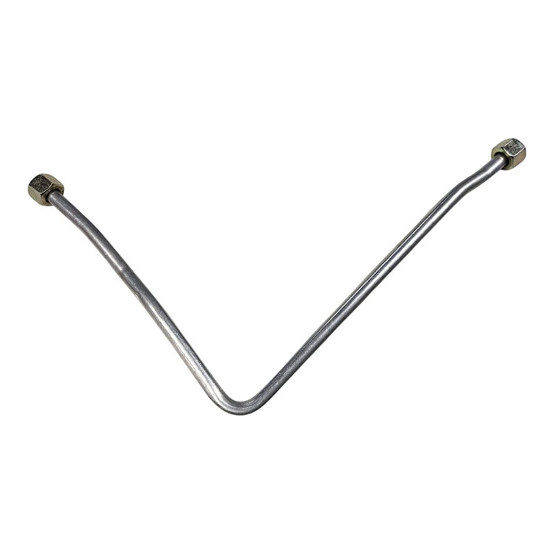 AVISO COLE GRASSHOPPER 5’9×19 7/8×2 7/16 Insect Identification