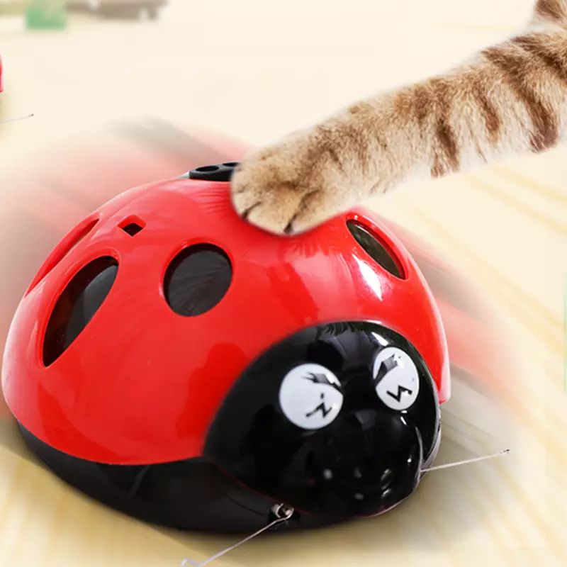 Joaninha Com Sensor De Aproximação - Brinquedo Pet Interativo
