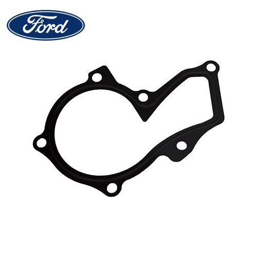Junta Bomba Dagua Original Ford Ka/Eco/Focus/New Fiesta