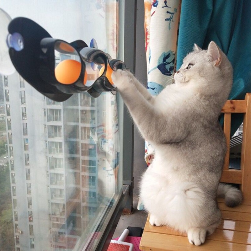 Brinquedo interativo gatos ventosa mola gira 360 graus e balança - Hashtag  Descubra