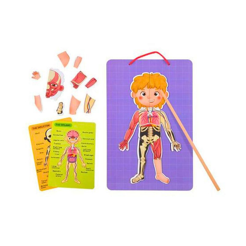 Explorando o Corpo Humano Quebra-Cabeça Grande 120 Peças Brinquedo Educativo  Brinquedos Educativos Bambalalão Brinquedos Educativos