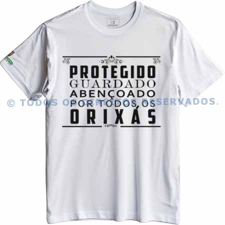 Camiseta Protegido e Guardado