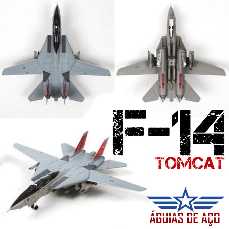F-14 TOMCAT - 1:100 - METAL - Loja Águias de Aço
