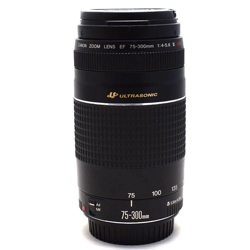 Canon EF 75-300mm F4-5.6 III USM◆4275 Lente Canon EF 75-300mm f/4-5.6 III USM Ultrasonic Seminova