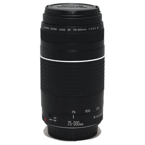 Lente Canon EF 75-300mm f/4-5.6 III - Foto DHM - Tripés, Bolsas