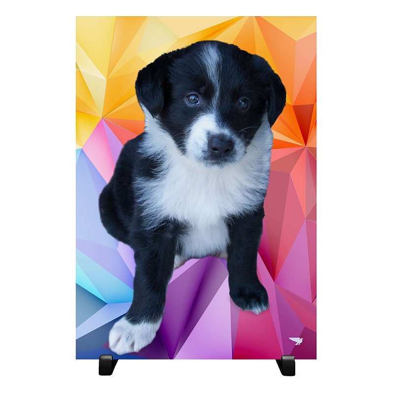 Quadro A4 Decorativo Seu Pet Personalizado