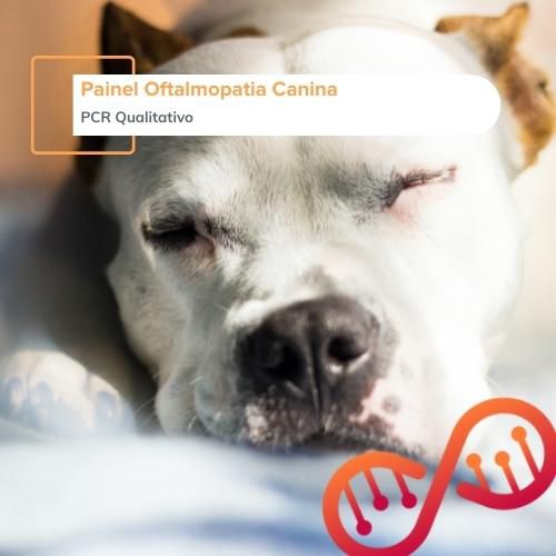 Painel Oftalmopatia Canina Ampligen