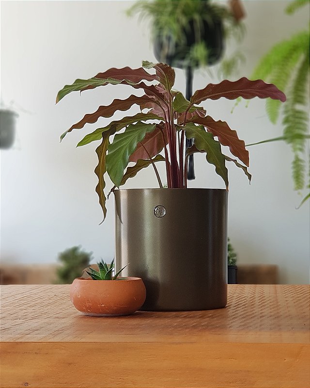 Cachepô Metálico Pote 14 Minimalista