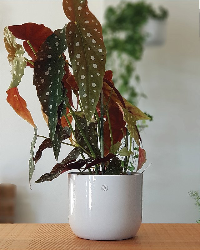 Cachepô Metálico Pote 18 Minimalista