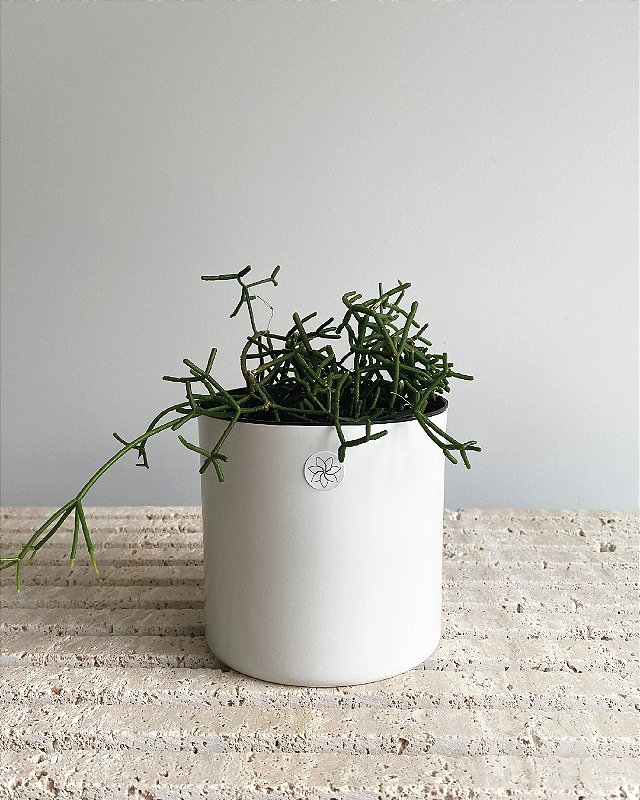 Cachepô Metálico Pote 10 Minimalista