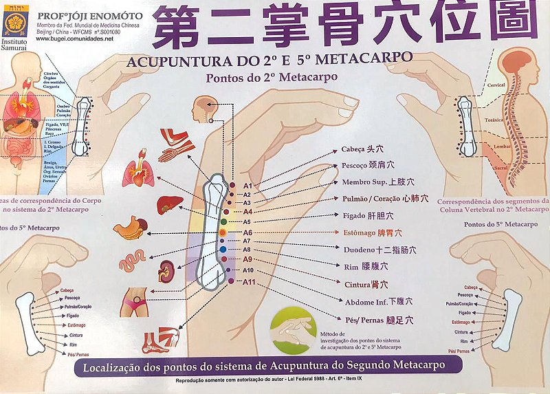 Mapa Acupuntura de 2° e 5° Metacarpo (Plastificado) - Cinco Elementos