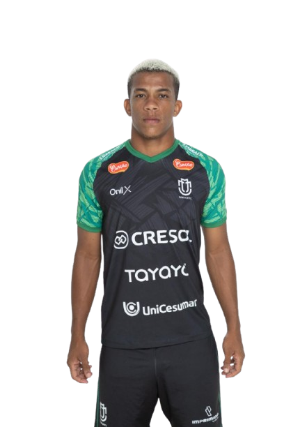 CAMISA OFICIAL 2025 TREINO MASCULINA
