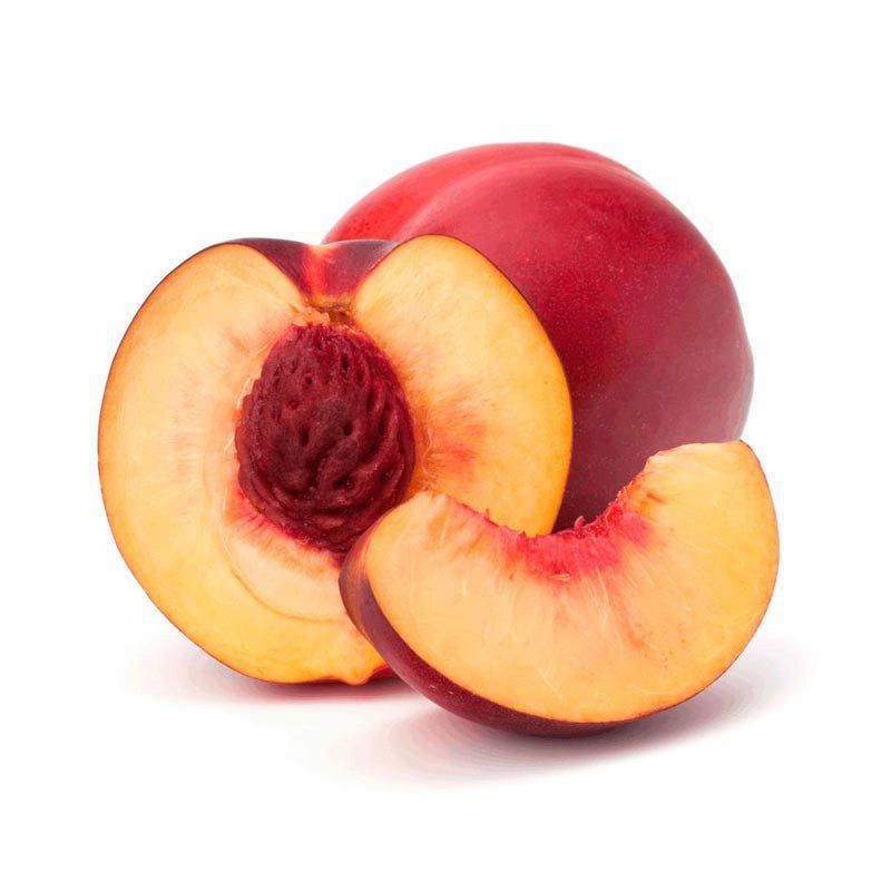 Muda De Nectarina Casa das Sementes Lavras