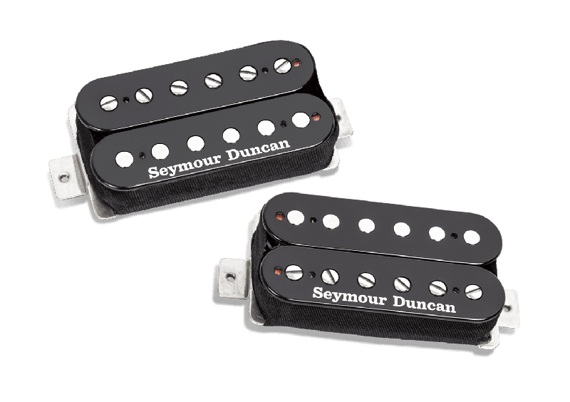ギター Bacchus BSA800 (Duncan & PRS Pickups) Bacchus DUKE Year Of The Snake ORM-PF S/N：25008 【One Day Guitar