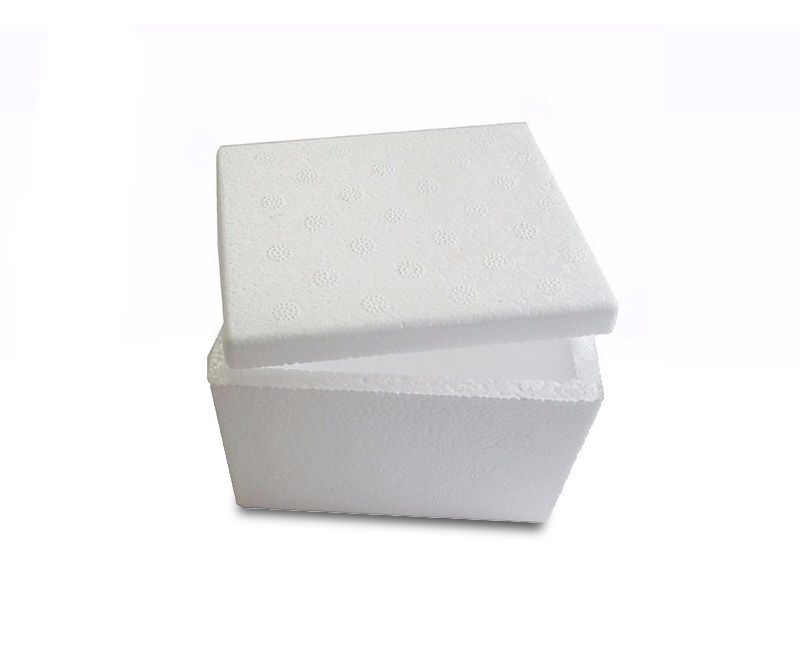 Caixa De Isopor P/sorvete 500g Isoplast - Cheffe House