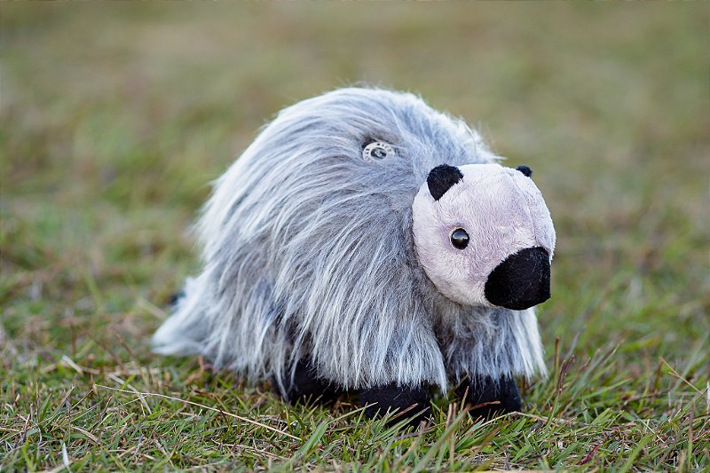 Pelúcia Ouriço-cacheiro