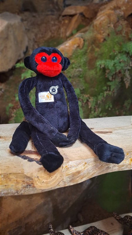 Pelúcia Macaco Aranha de Cara Vermelha