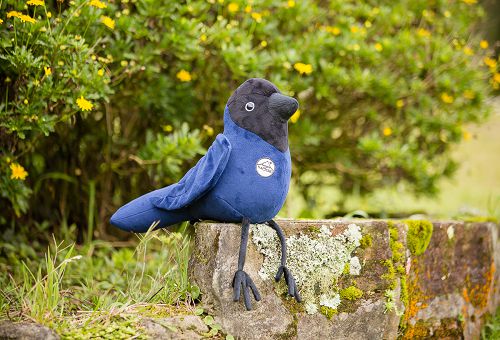 Pelúcia Gralha Azul