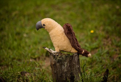 Pelúcia Gavião Carrapateiro