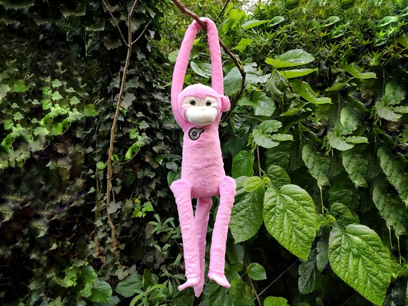 Pelúcia Macaca Aranha Rosa