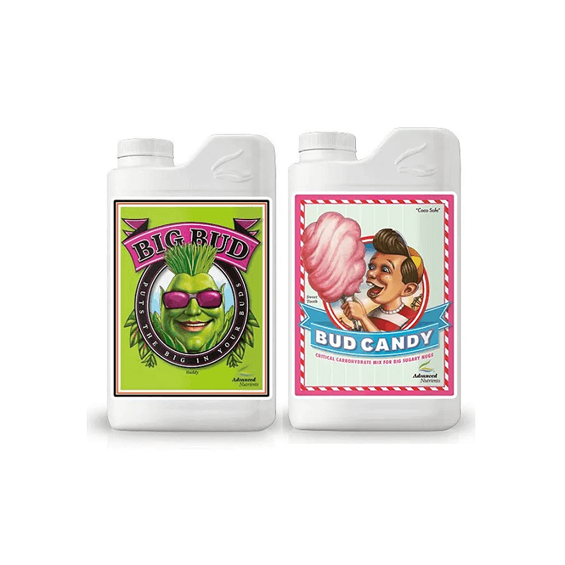 big-bud-e-bud-candy-yvdb627ps1.png