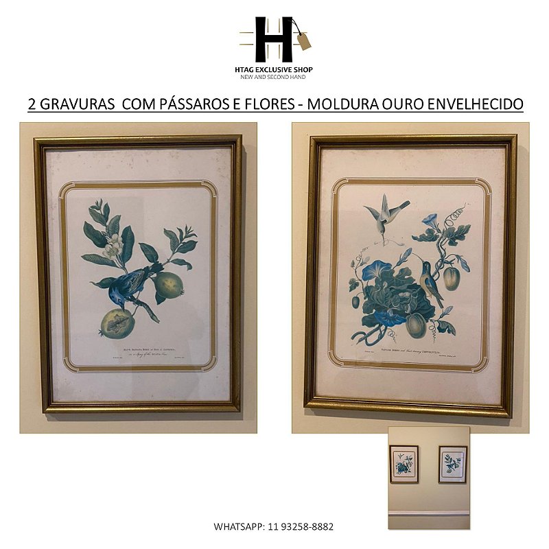 QUADROS COM GRAVURAS DE FLORES, FRUTOS E PÁSSAROS - MOLDURA OURO ENVELHECIDO - 2 GRAVURAS