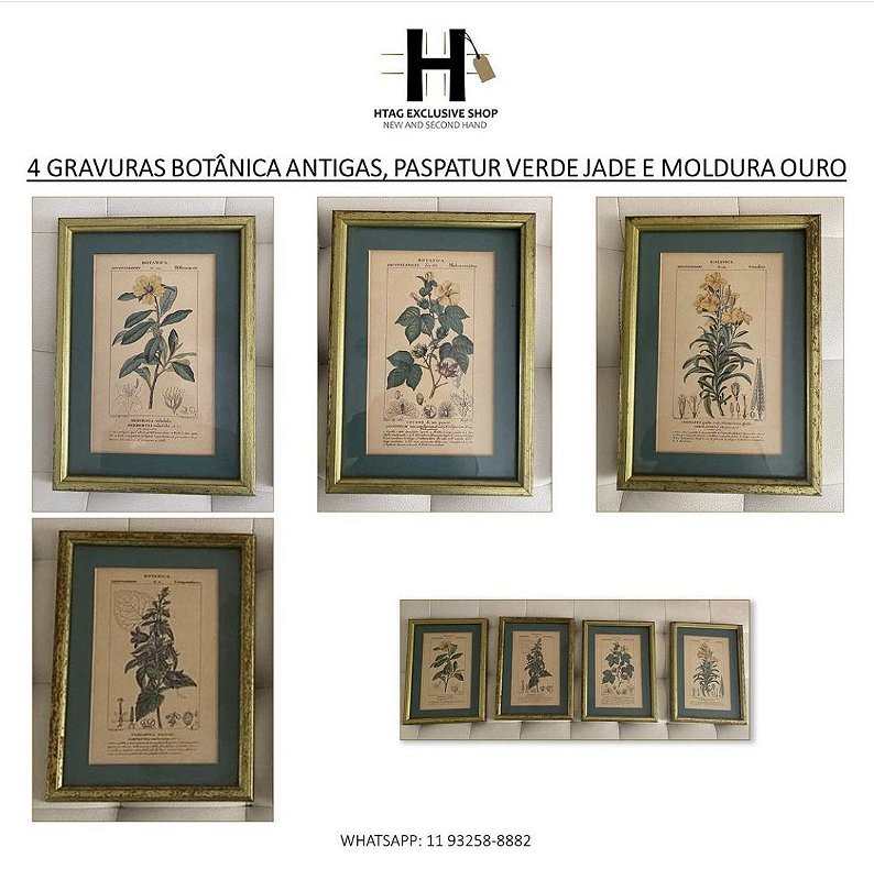 GRAVURAS ANTIGAS MOTIVO BOTÂNICA, PASPATUR VERDE JADE E MOLDURA OURO ENVELHECIDO - 4 GRAVURAS