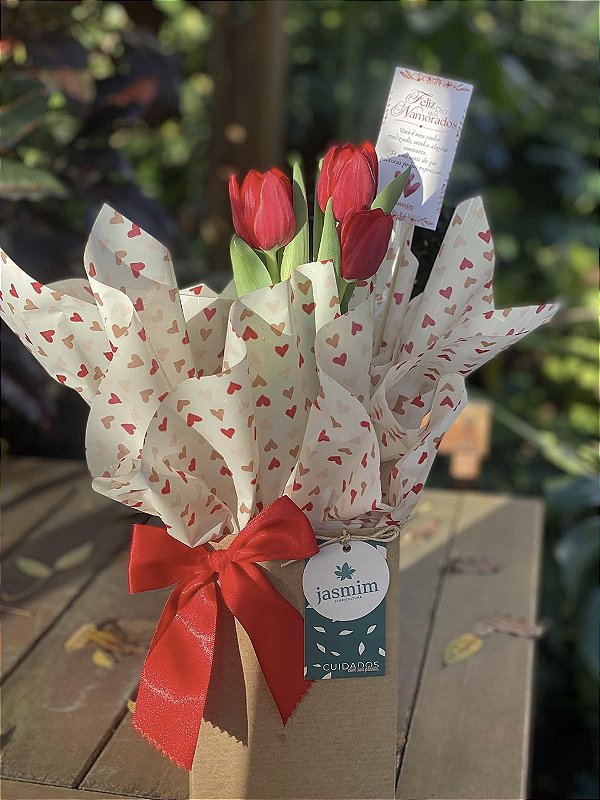 Tulipa