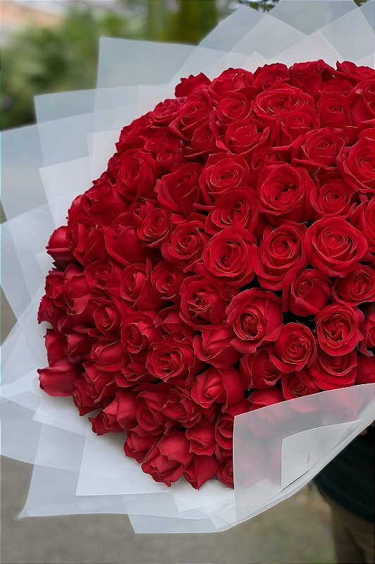 Buquê de 100 Rosas
