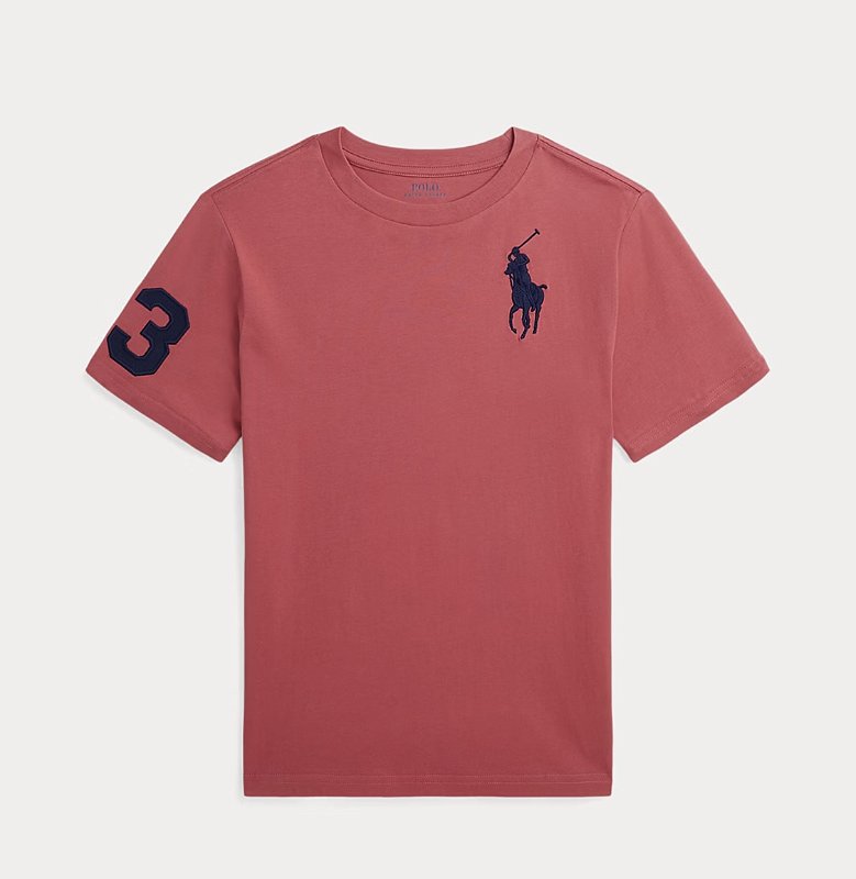 CAMISETA POLO RALPH LAUREN - LANÇAMENTO - TAM S ( 6 , 7 E 8 ANOS