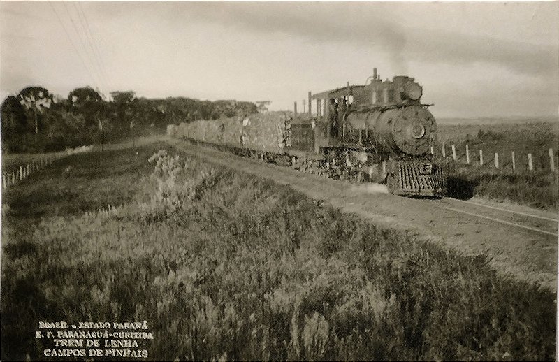 Paraná - Ferrovias – Estrada de Ferro Paranaguá-Curitiba - Foto Postal original antiga, não circulado