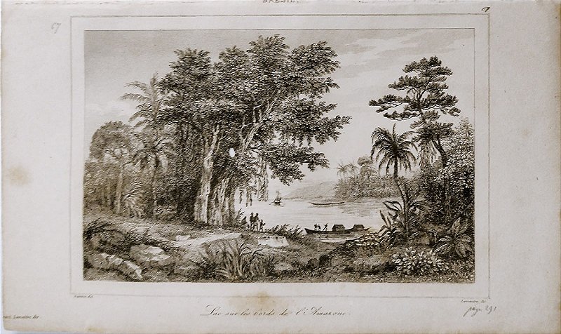 Amazonas - Gravura de 1837, "Lago às Margens do Amazonas", assinada por Danvin, editada por Lemaitre