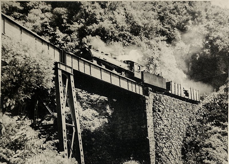 Paraná - Ferrovia - Fotografia Original Assinada por Theodor Preising, 1933,  Estrada de Ferro Curitiba - Paranaguá