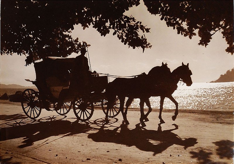 Paquetá - Rio de Janeiro - Pedro Josué - Artística Fotografia Original em Grande Formato - 32x40 cm