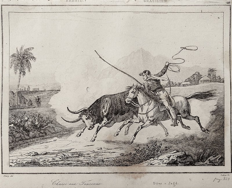 Brasil Império - Goiás – Fleury - Gravura original de 1837, titulada Caça ao Touro - 120523