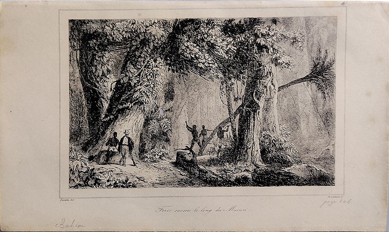 Brasil Império - Bahia - Gravura de 1837 titulada Floresta aberta ao longo do Mucuri - 040423