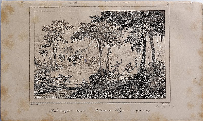 Brasil Império - Gravura de 1837 titulada Floresta Virgem, Caça ao Jaguar - 040423