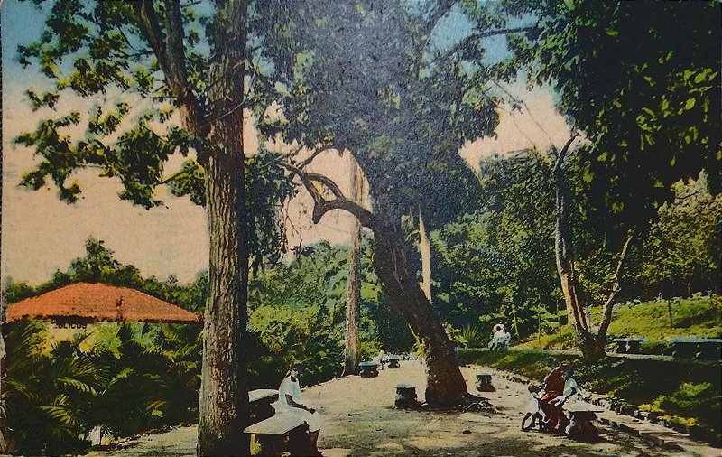 Paraíba do Norte, João Pessoa, Parque Arruda Camara  - Cartão Postal Antigo Original, Circulado em 1932