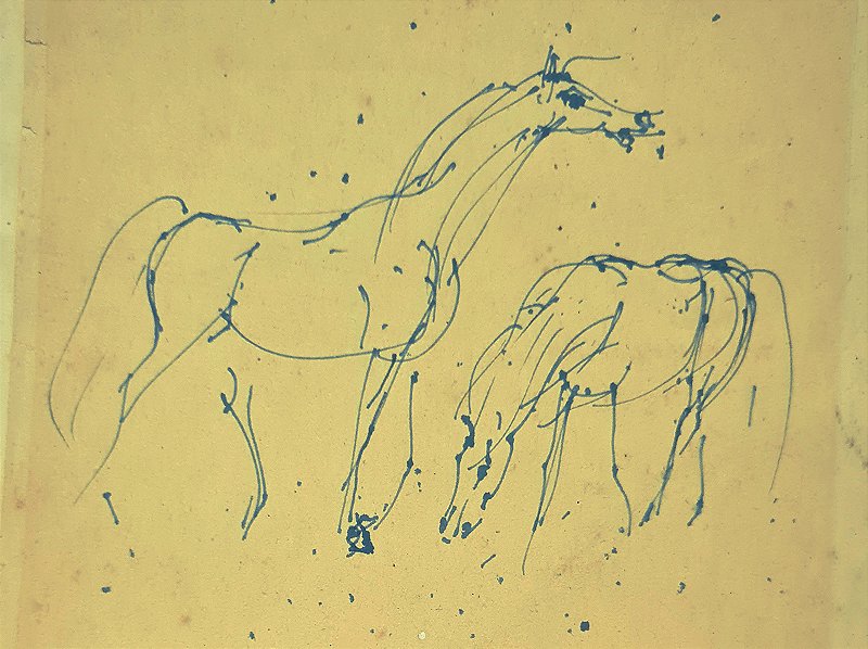 Lívio Abramo - Desenho a Nanquim Azul Ultramar, Cavalos - Assinado, Local Assunção e Datado 1966